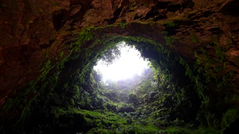 inside of inactive volcanic vent of algar do carvao covered with plants