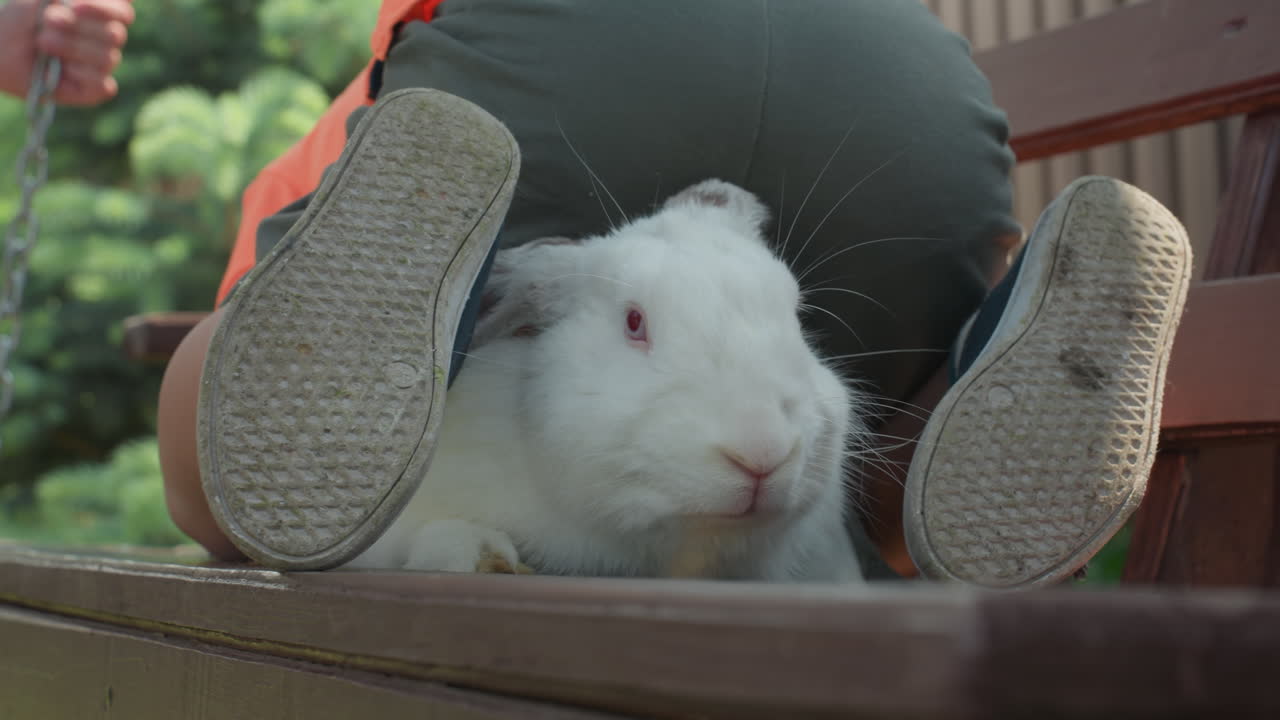Child Shelters Rabbit, Child Shields Bunny On Bench, Child Crouched With Rabbit Under Soft Shade, Young Child Gently Protects Rabbit Beneath Shade Of Peaceful Summer Afternoon In Backyard