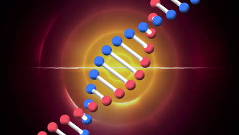 animación de la cadena de adn sobre círculos rojos y naranjas