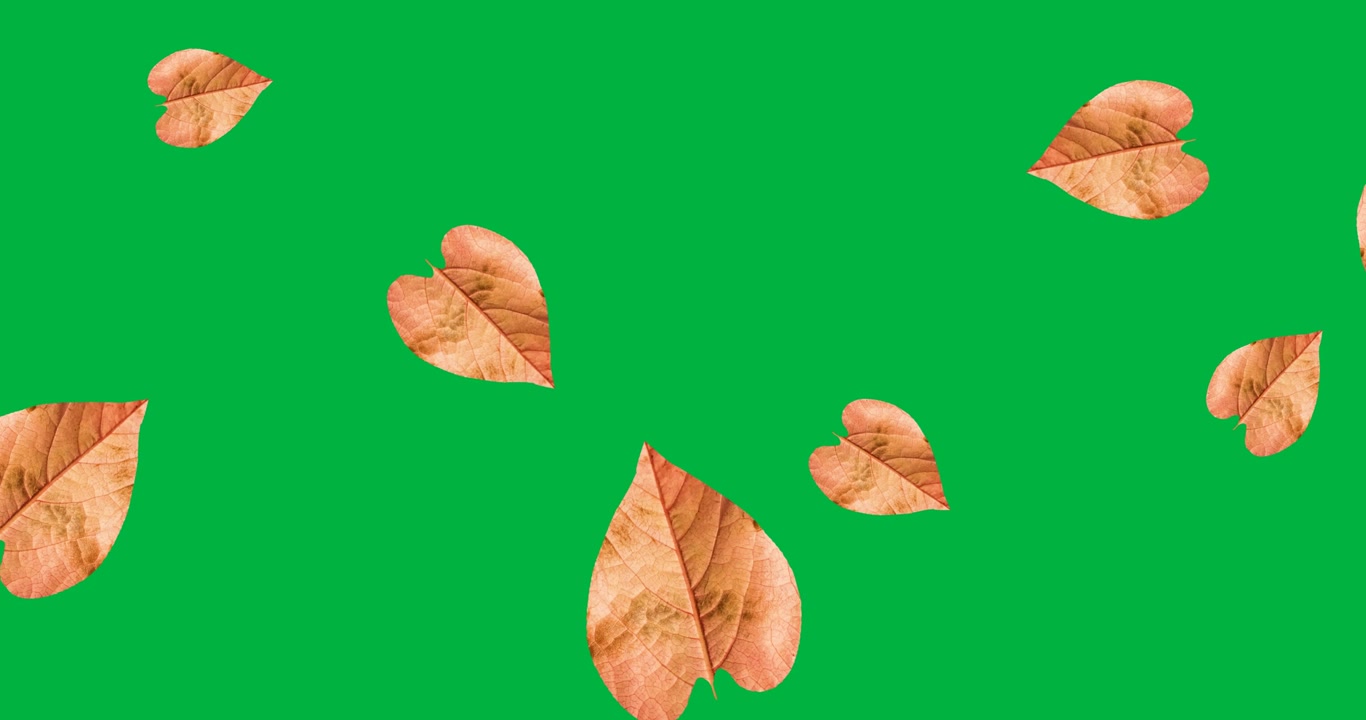 Animazione digitale di foglie autunnali che fluttuano su sfondo nero.