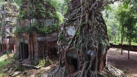 aerial: tree roots cover ancient khmer stone tower at koh ker cambodia