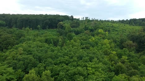 aerial establishing shot of a forest on a hillside at summer, slowly decreasing altitude at nógrád county, hungary, europe