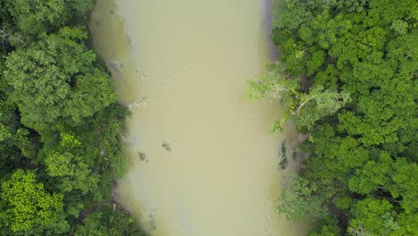 imágenes aéreas de drones del río cahabón cerca del parque nacional semuc champey en guatemala bordeado por árboles de selva verde brillante