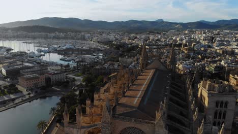 drone forward over the cathedral in palma de malorcoa