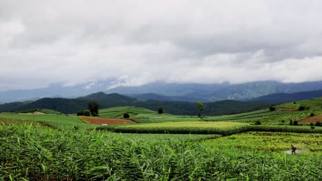 Beautiful-landscape-of-green-agricultural-field-with-mountain-range-on-the-background-under-the-clouded-sky