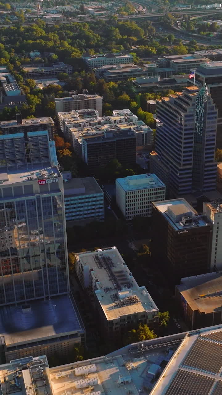 Modern scenery of Sacramento, California, USA. Lovely green city panorama on sunny daytime. River at backdrop. Vertical video