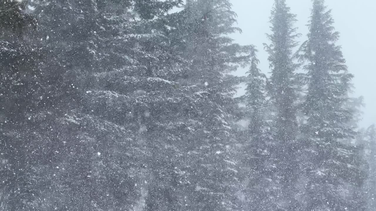 Mammoth mountain ski resort The Hemlocks main lodge winter feet of snow dumping snowy blizzard on ski snowboard trail run California cloudy foggy backcountry pan forest pan down motion