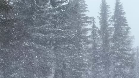 mammoth mountain ski resort the hemlocks main lodge winter feet of snow dumping snowy blizzard on ski snowboard trail run california cloudy foggy backcountry pan forest pan down motion