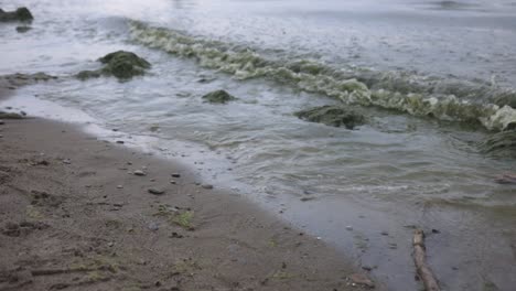las olas del mar salpican las algas verdes arrastradas a tierra - cerrar