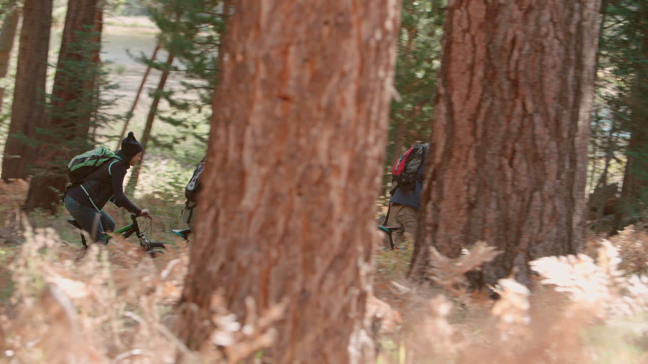Quattro amici chiacchierano e vanno in bicicletta su un sentiero nel bosco, vista laterale