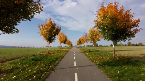 person walking on rural road surrounded with green areas and autumn trees, czech republic