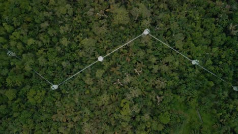 The-longest-canopy-walkway-in-Africa-with-nature-and-wildlife-conservation-in-lekki