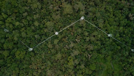 la pasarela de dosel más larga de áfrica con conservación de la naturaleza y la vida silvestre en lekki