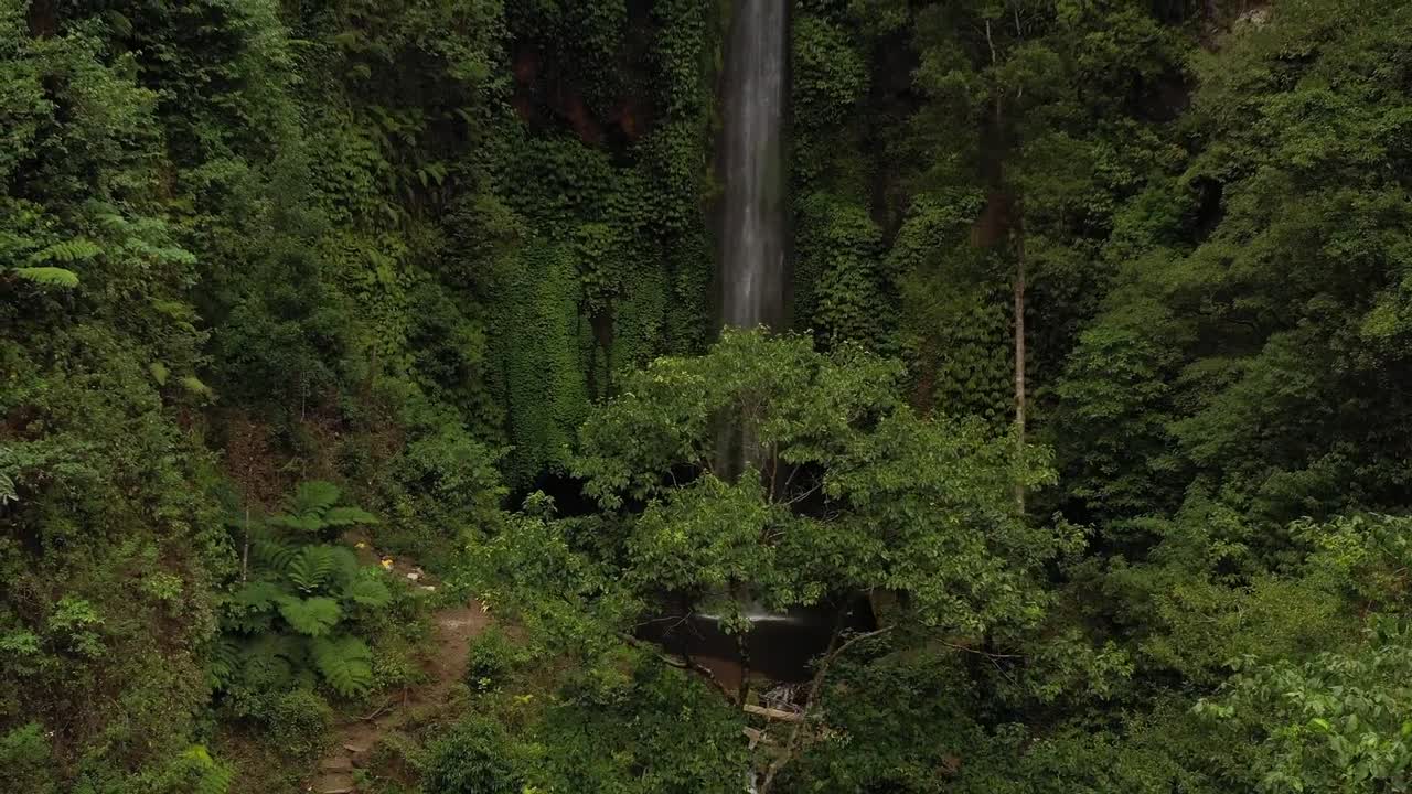 Slow rising drone reveal video of tall waterfall dropping into jungle pool surrounded by dense tropical foliage near Sekumpul, highlighting natural beauty, lush greenery, and peaceful Bali landscape