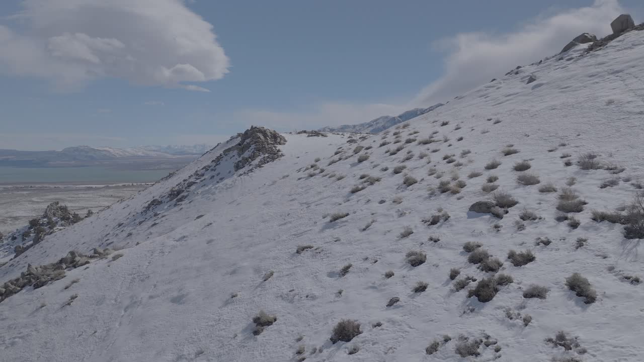 Filmato aereo in 4K dei picchi montuosi innevati del Lago Tahoe con foresta sempreverde. Giornata invernale soleggiata con cielo azzurro terso. Video aereo in 4K che mostra il paesaggio alpino incontaminato e il terreno montuoso boschivo.