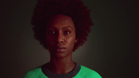 beauty portrait of african american woman