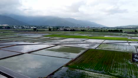 Vastos-Arrozales-Con-Diferentes-Niveles-De-Agua-Bajo-Cielos-Nublados,-Telón-De-Fondo-Montañoso