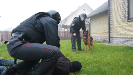 arresto de la policía con la unidad k9