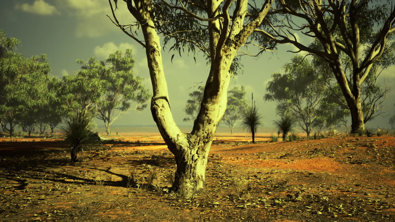 Expansive outback landscape under a vivid sky at golden hour in australia