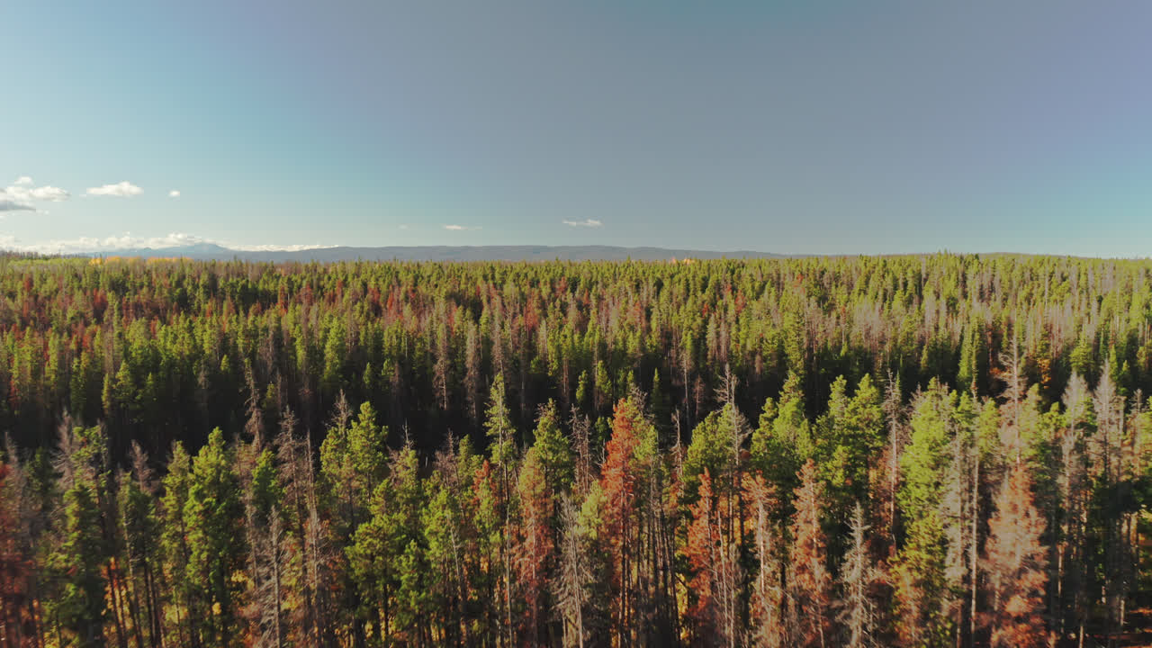 imágenes de drones del norte de colorado de colores de otoño en las montañas