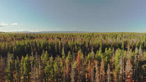 Northern-Colorado-Drohnenaufnahmen-Von-Herbstfarben-In-Den-Bergen