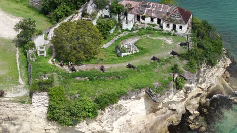 fort james ruins by turquoise waters and lush trees in antigua, evoking history, aerial view