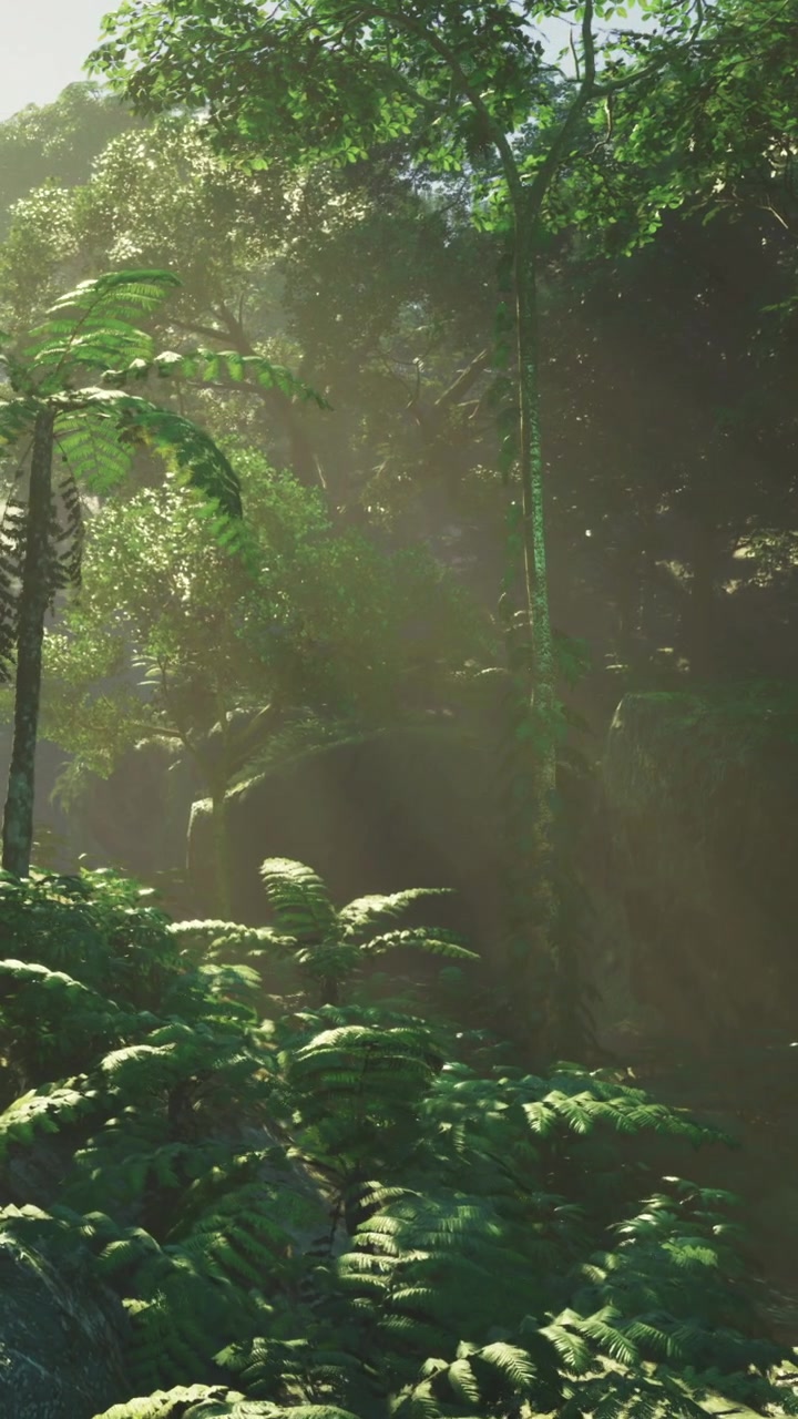 Foresta verde lussureggiante con alberi alti e la luce solare che filtra attraverso le foglie