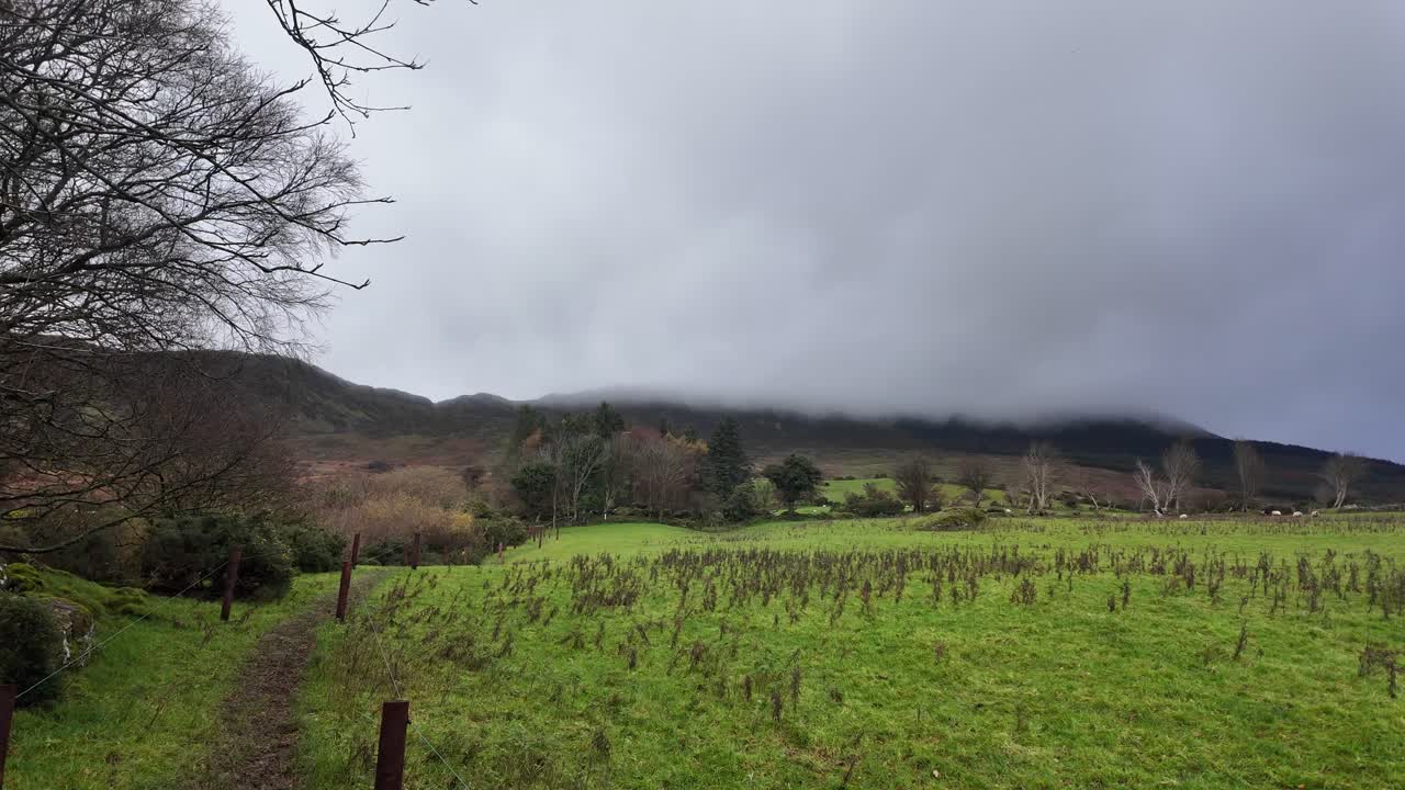 Sendero de montaña hacia las montañas, nubes bajas, día frío de invierno, Montañas Comeragh, Waterford, Irlanda