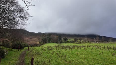 mountainside-trail-to-the-mountains-low-clouds-cold-winter-day-Comeragh-Mountains-Waterford-Ireland