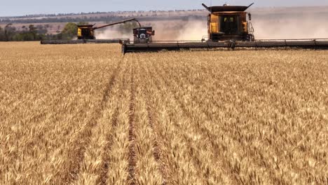 This-footage-captures-the-synergy-of-modern-agricultural-technology,-showcasing-the-essential-role-of-header-fronts-in-the-wheat-harvesting-process