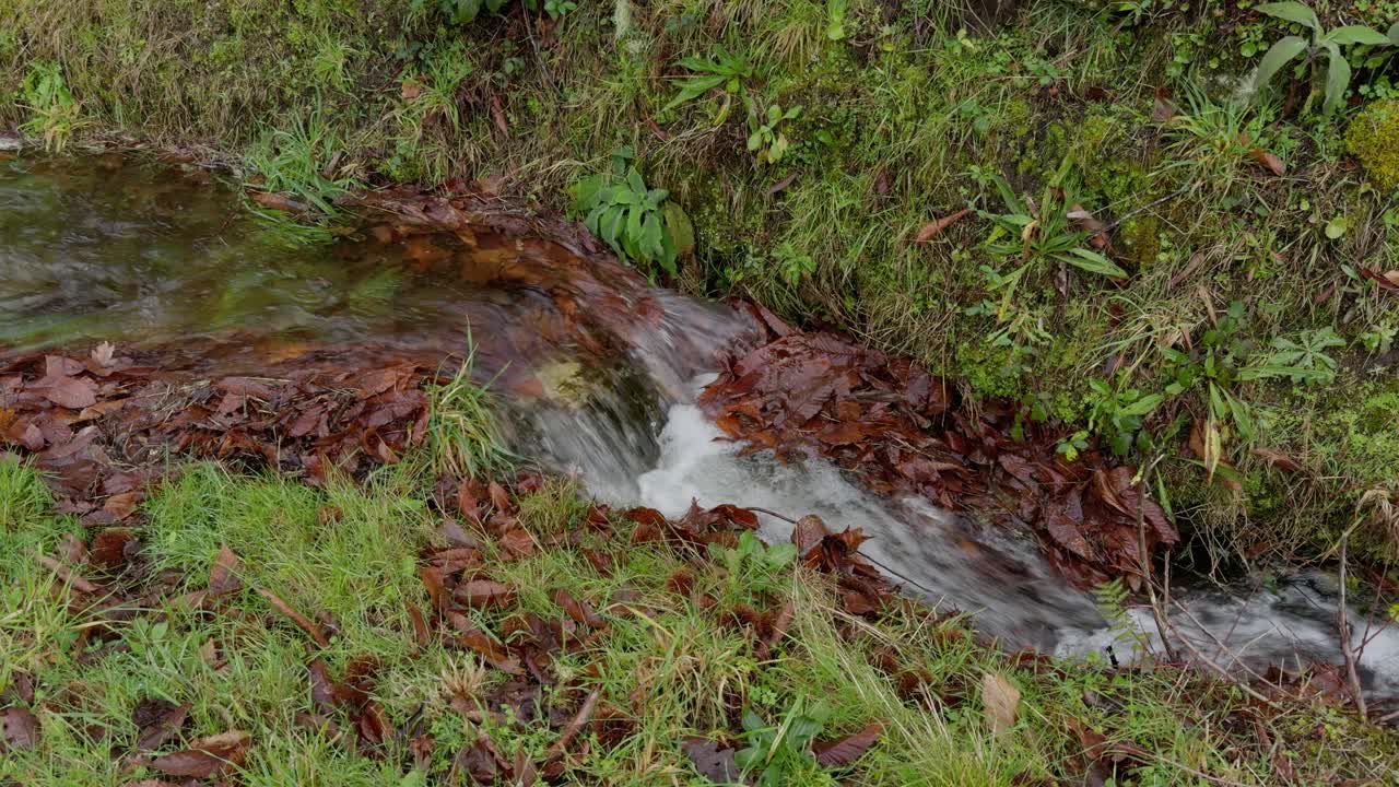 Beautiful Waterfall On Small Stream Surrounded By Colourful Vegetation