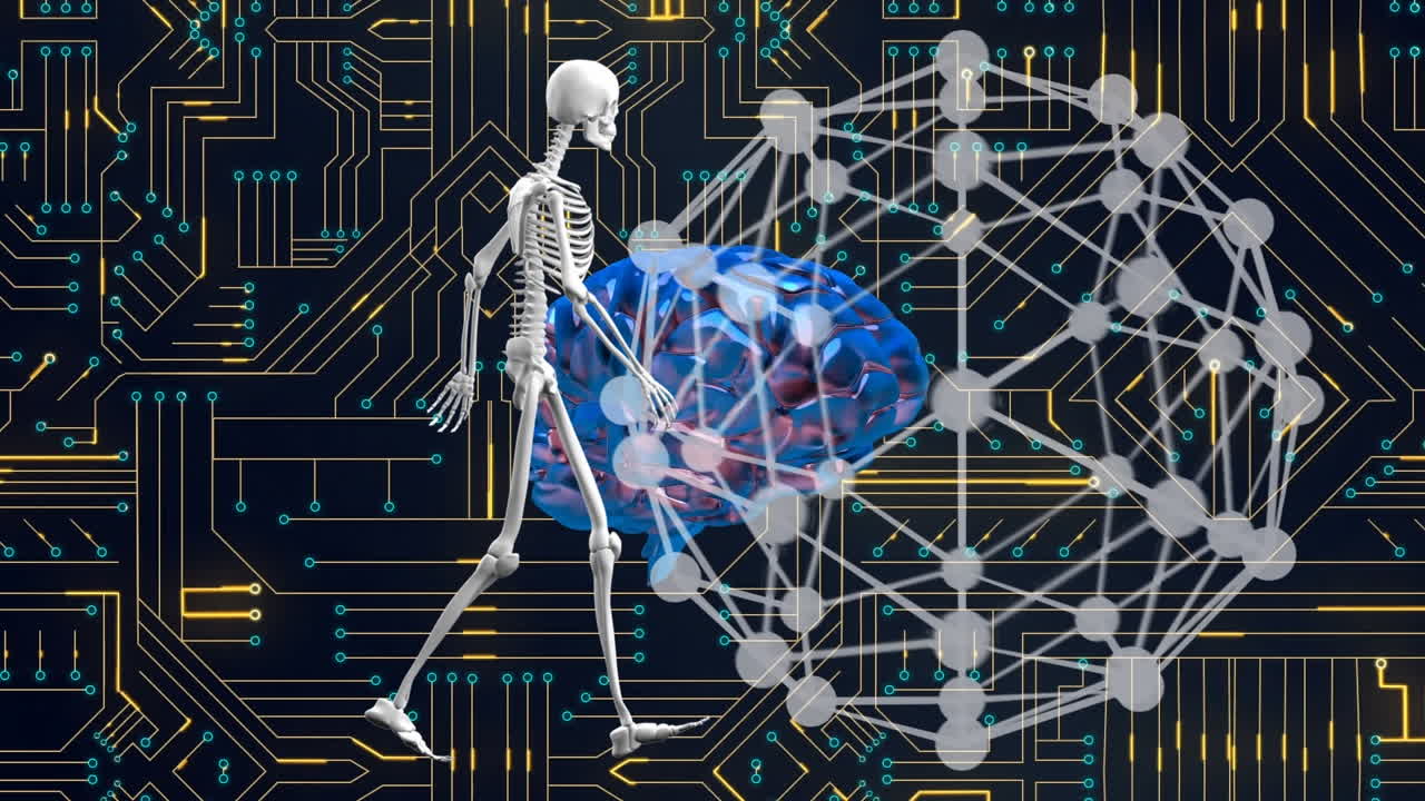 Animation of digital skeleton model and globe of connection over computer circuit board