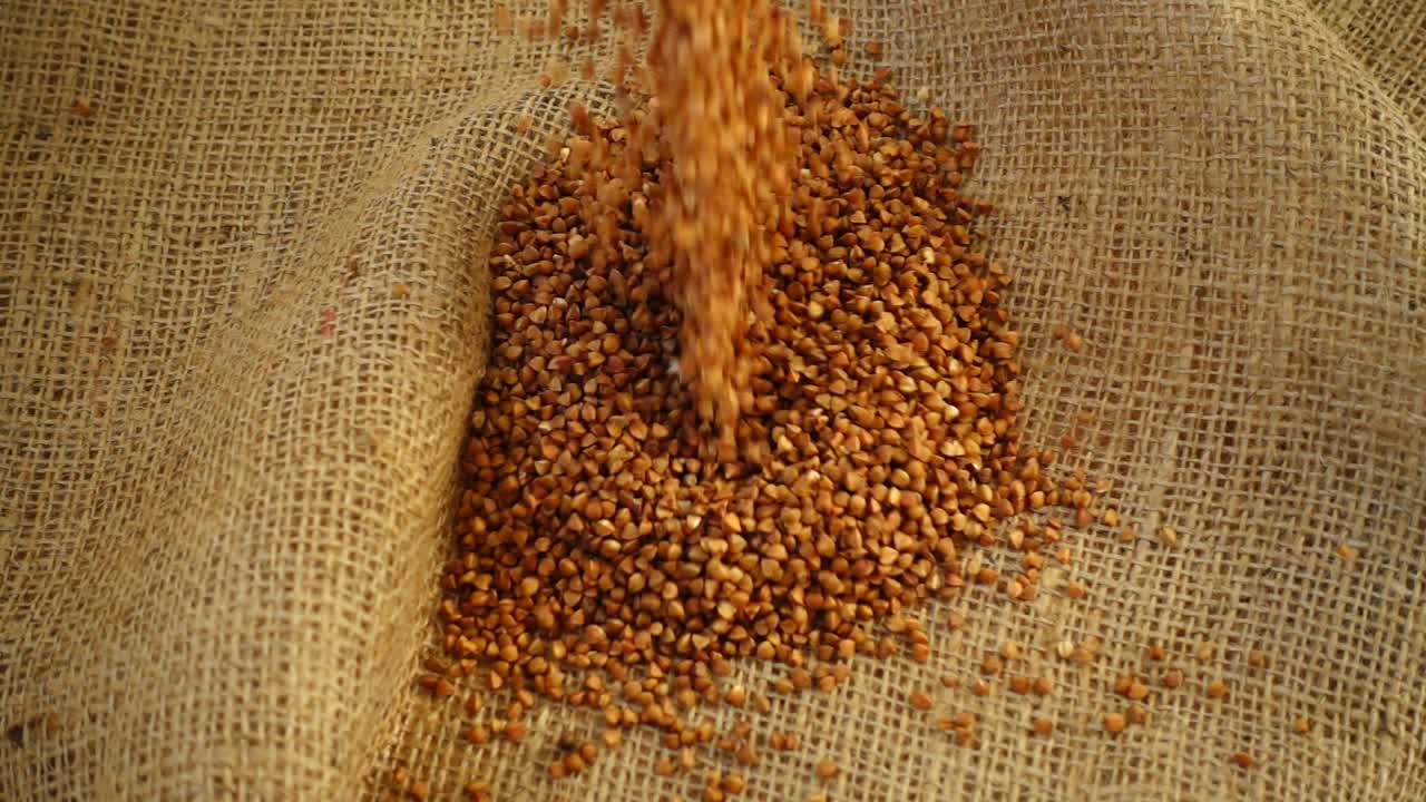 Buchweizen gießt auf Jute. Zeitlupe