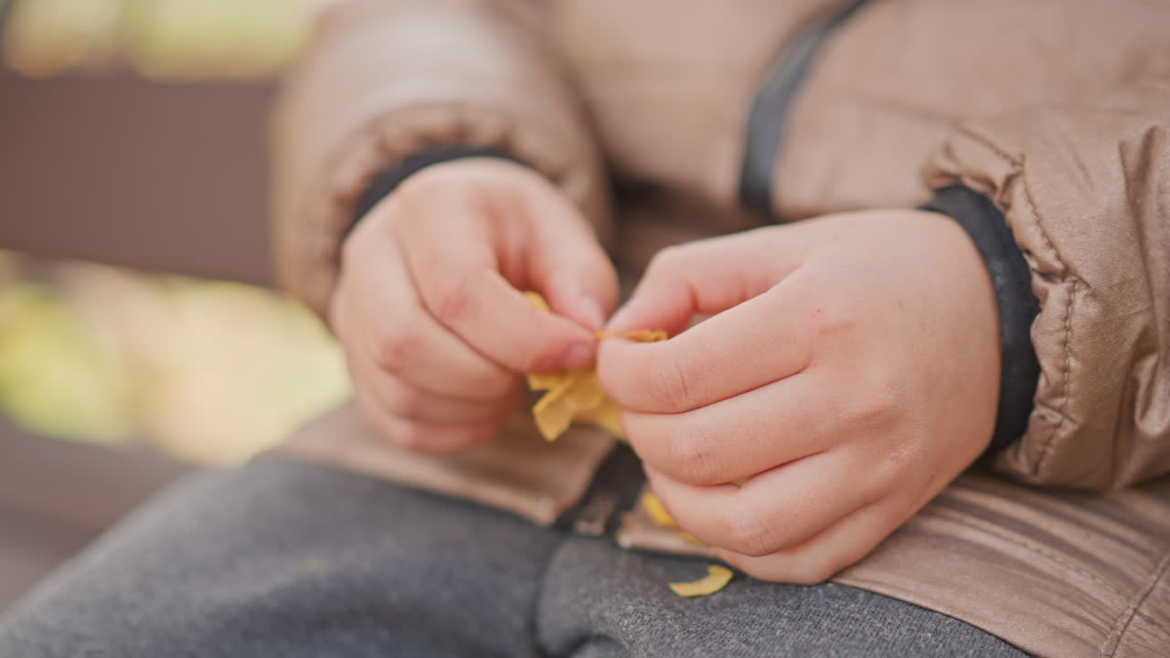 close up of small child hands grasping crisp yellow autumn leaf while seated on weathered park bench, delicate fingers exploring leaf veins, blurred second leaf resting nearby
