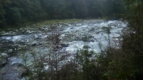 Río-Místico-Que-Fluye-En-La-Selva-Profunda-De-Nueva-Zelanda-Durante-El-Día-Nublado