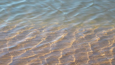 shallow tropical coastal water with ripples and sunlight shining, static view