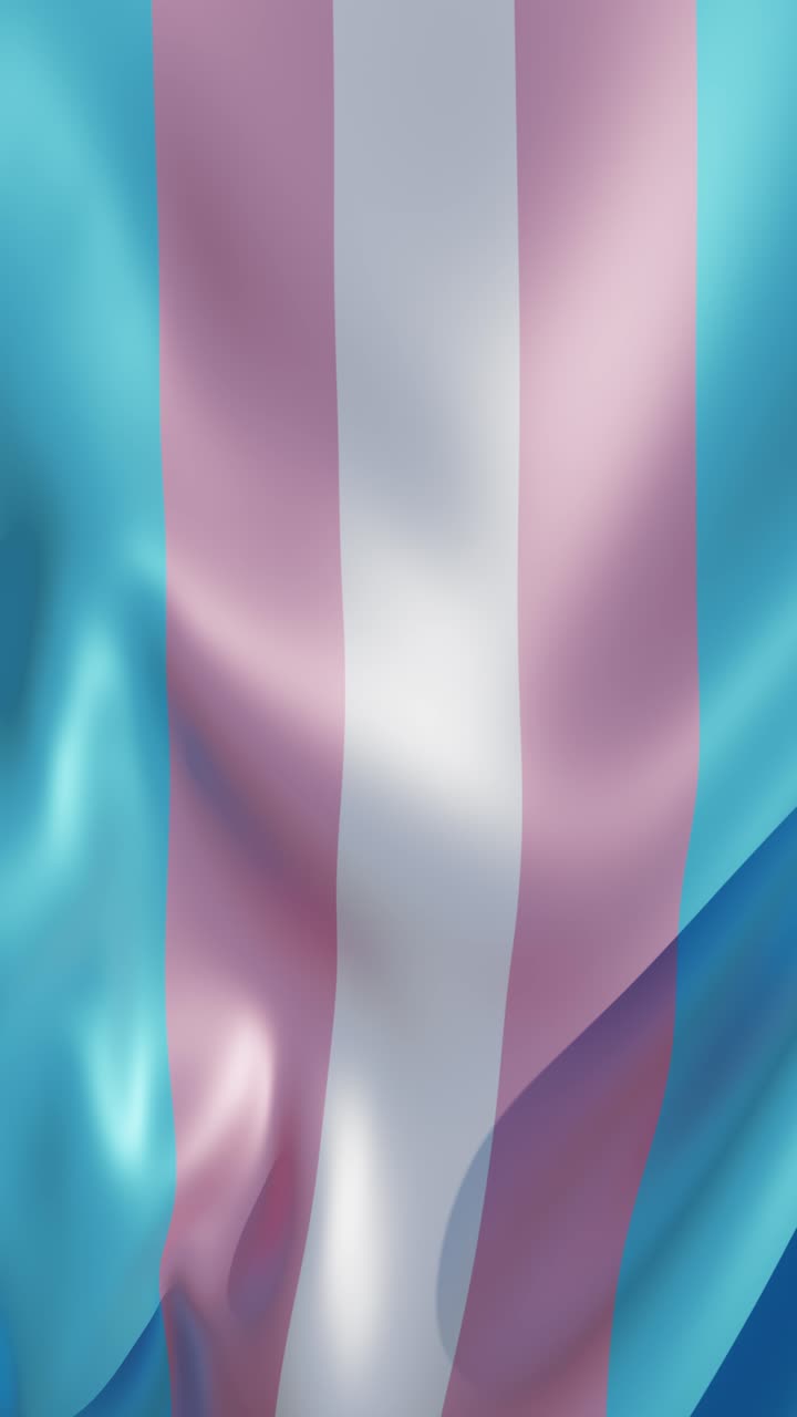 Bandiera a strisce transgender verticale. Animazione rendering 3D.