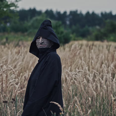 dark ghost on a wheat field. back view of a spooky figure in black cloak turning its scary face on camera on the nature background.