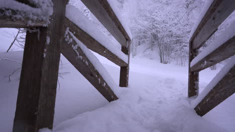 Dolly-Pan-Rodada-En-El-Maravilloso-Invierno-De-La-Montaña-Del-Este-De-Canadá