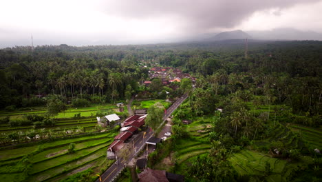 two lane road rises above terraced rice fields leading to village of sidemen in forest of bali