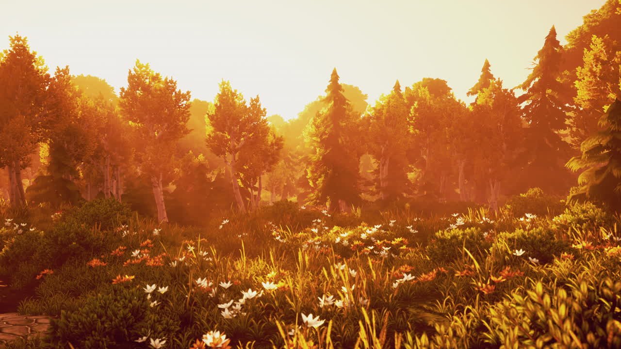 황금색  ⁇ 빛으로 백라이트 된 만화 숲 나무