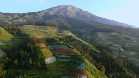 vista de pájaro del monte sumbing y las coloridas plantaciones en sus laderas
