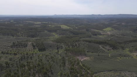 Vista-Aérea-Del-Paisaje-De-Proença-A-Nova