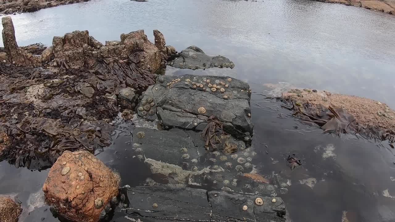 남아프리카의 서해안