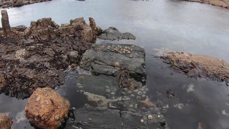 costa oeste de sudáfrica