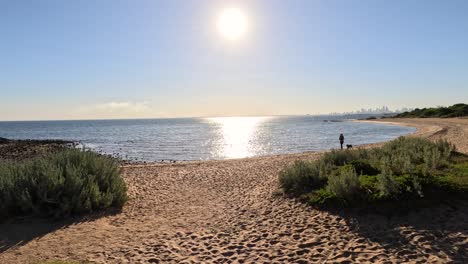 person and dog walking on brighton beach