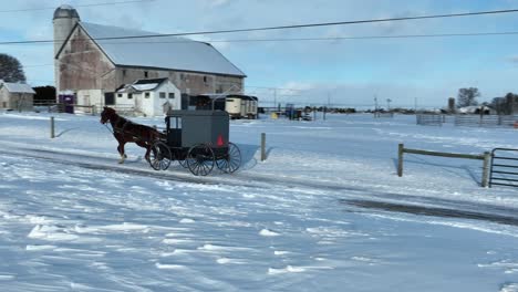 amish horse and buggy on road with snow drifts on winter day