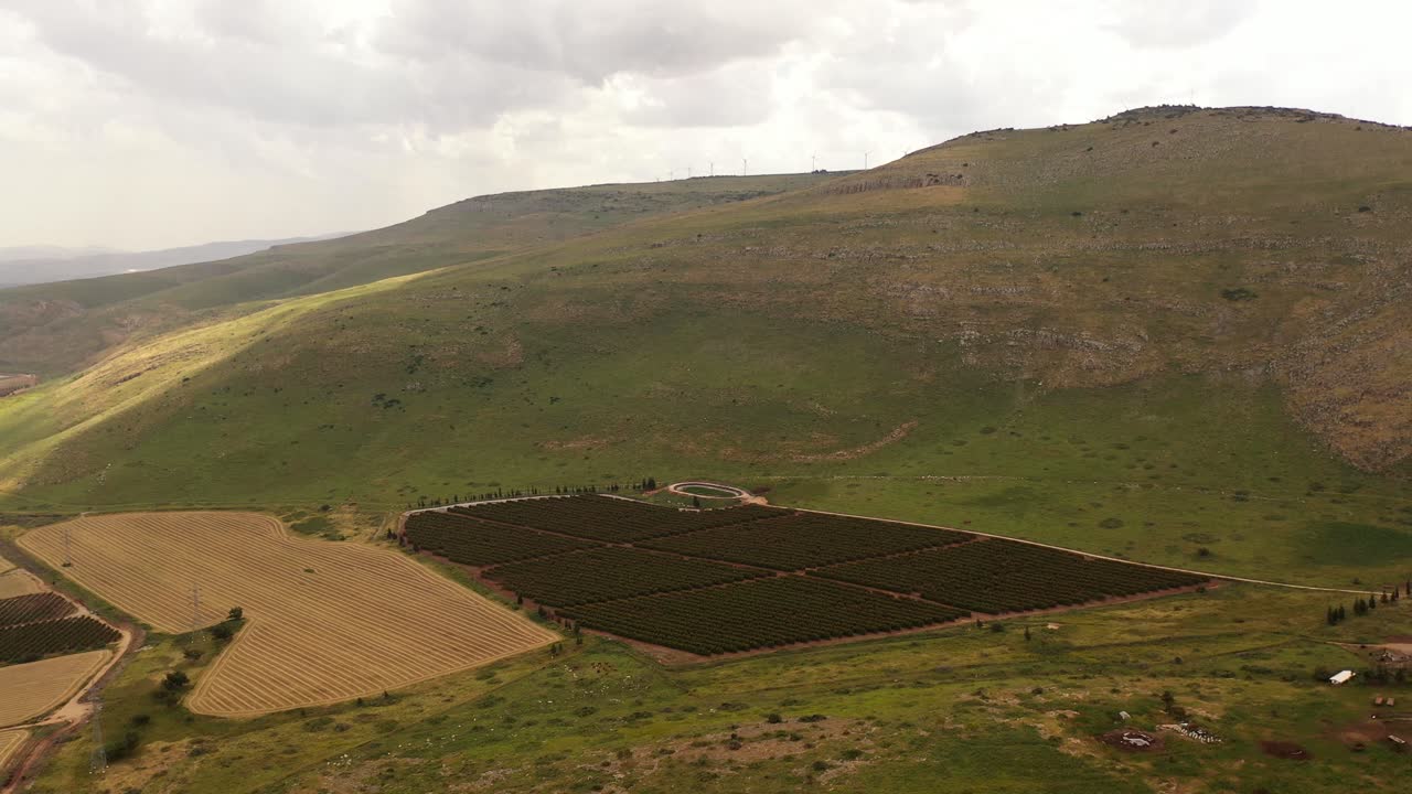 Vista aerea di un paesaggio agricolo con frutteti e colline