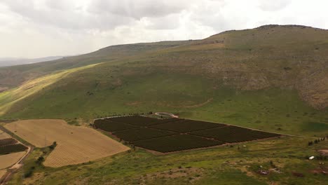 aerial view of agricultural landscape with orchards and hills