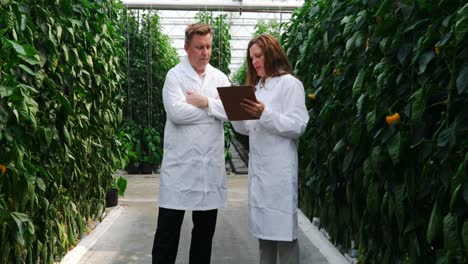 Scientists-discussing-over-clipboard-in-the-greenhouse-4k